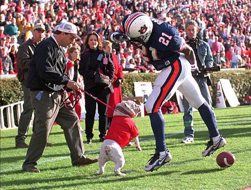 Uga Bites Aub 2007