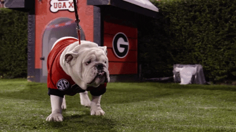 Uga x