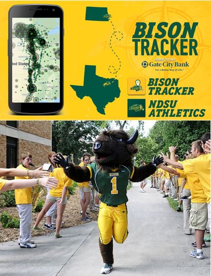 Bison NDSU